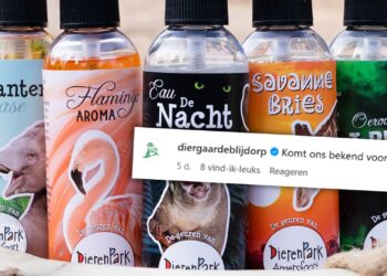 DierenPark Amersfoort ‘kopieert’ 1 aprilgrap van Blijdorp: ‘komt ons bekend voor’