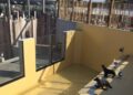 Aquarium in Noord-Holland stopt met zeehonden: ‘We willen ze meer ruimte bieden’