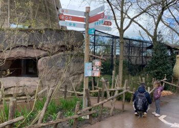 Nieuwste apenverblijf Blijdorp gaat alweer op de schop: prijskaartje van 375.000 euro