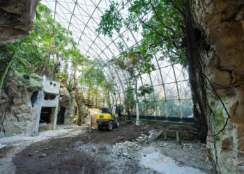 Oudste dierentuin van Europa verbouwt tropenhal voor zeldzame diersoort