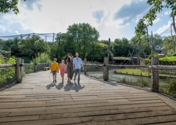 Ook andere bedrijven aasden op aandelen GaiaZoo Kerkrade
