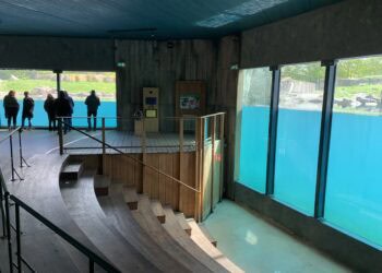 Ledenaantal Vrienden van Blijdorp keldert voor derde jaar op rij: ‘Erg jammer’