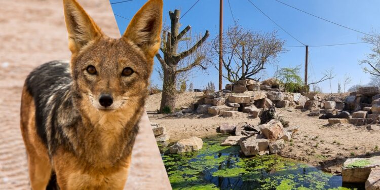 Afbeelding ter illustratie. Beeld: Nicole van As