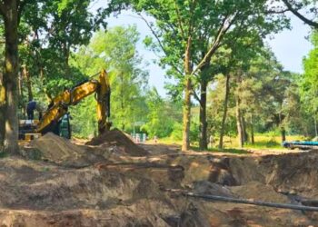 Beekse Bergen verbouwt cheetaverblijf bij autosafari: 2,5 meter diepe gracht