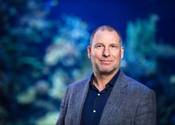 Blijdorp-directeur gaat weg na dalende bezoekersaantallen en koerswijziging