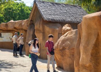 Nieuw verblijf voor drie Afrikaanse diersoorten in Franse dierentuin
