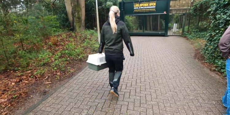 Beeld: GaiaZoo
