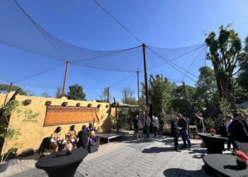 Meer dan 10 diersoorten in nieuwste volière Vogelpark Avifauna