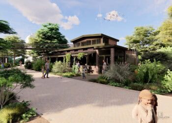 Mensapen blijven in Artis: binnenverblijf chimpansees wordt vergroot