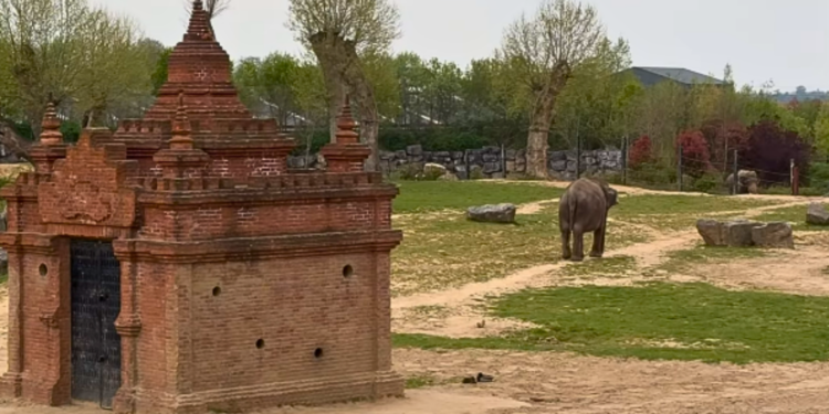 Beeld: Pairi Daiza