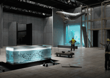 Grootste aquarium van Europa breidt verder uit