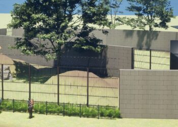 Beelden: Belgisch dierenpark wil nieuwe leeuwenverblijven bouwen