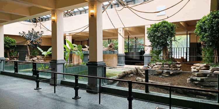 Beeld in artikel: Lars Truyen, Dorothy Joossen