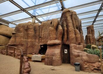 Burgers’ Zoo wil woestijnkas Desert aanpassen: vergunning aangevraagd