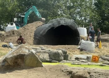 Van faillissement tot succes: het verhaal achter ZooParc Overloon in jubileummagazine