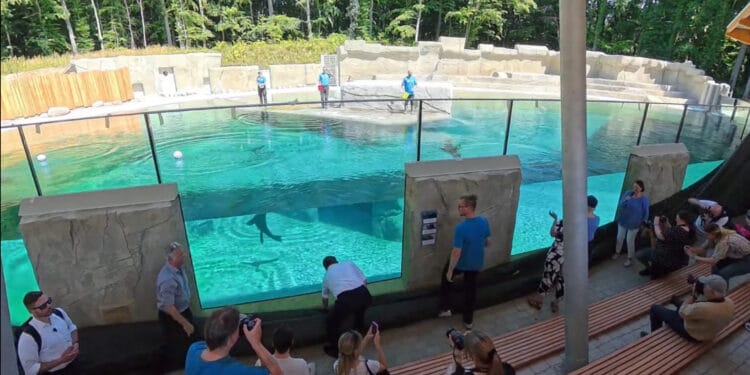 Beeld: Rostock Heute