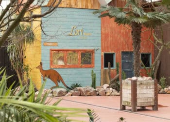 Dierentuin in Flevoland opent Australië-volière met 80 papegaaien