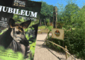 Van faillissement tot succes: het verhaal achter ZooParc Overloon in jubileummagazine