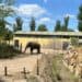 Eindhoven Zoo koopt nieuw stuk grond en werkt aan andere parkindeling