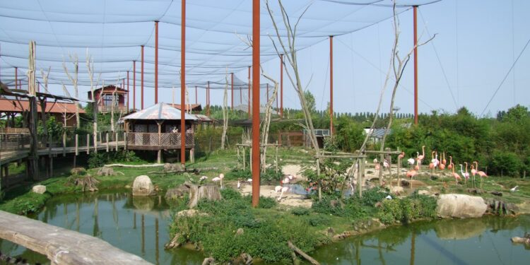 Amazonia Trek / Beeld: Littérature zoologique