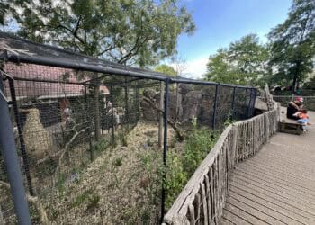 Achter deze wand in Blijdorp zit een verblijf verscholen: eenmalige openstelling