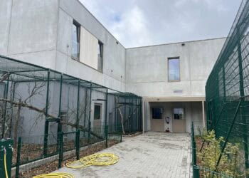 In dit nieuwe gebouw van 5 miljoen euro worden exotische dieren in België opgevangen