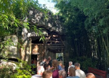 Rijen bezoekers voor leeg verblijf in Diergaarde Blijdorp: kijkje in oude grot