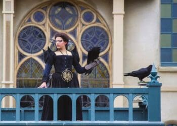 Geen vogelsoorten en paarden meer te zien in Efteling-parkshow na kritiek