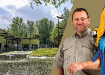 Van Qatar naar België: bekende dierenarts gaat aan de slag voor Pakawi Park