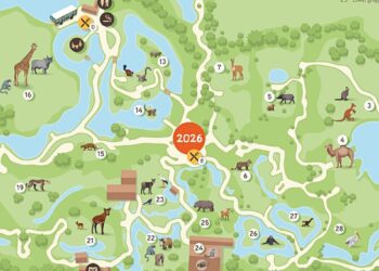 ZooParc Overloon presenteert volledig nieuwe plattegrond, mét bouwproject