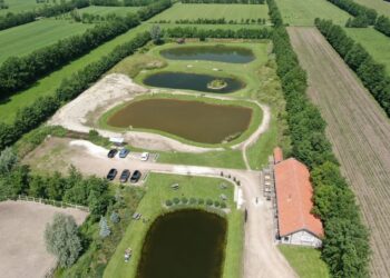 Nederland krijgt gigantisch schildpaddenreservaat: plek voor 20.000 dieren