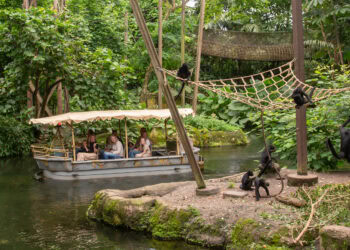 Nieuw seizoen van populair tv-programma opgenomen in Wildlands Emmen