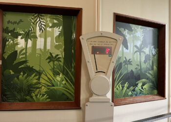 Nog meer privacy voor gorilla’s in Blijdorp: ramen beplakt met stickers