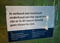 Burgers’ Zoo verbouwt aquarium voor nieuw biotoop: ‘We houden van een uitdaging’