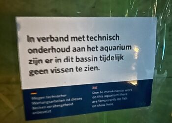 Burgers’ Zoo verbouwt aquarium voor nieuw biotoop: ‘We houden van een uitdaging’