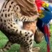 Beelden: serval grijpt papegaai tijdens demonstratie in dierentuin