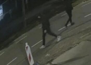 Inbraak bij dierentuin in Zeeland: jongeren slaan op de vlucht