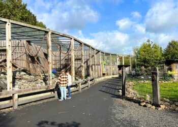 Brabants dierenpark stopt met tientallen diersoorten, maar heeft grootse toekomstplannen