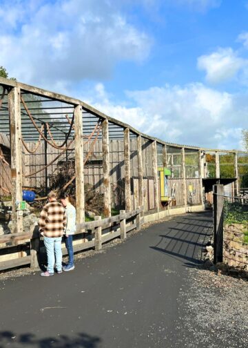 Brabants dierenpark stopt met tientallen diersoorten, maar heeft grootse toekomstplannen