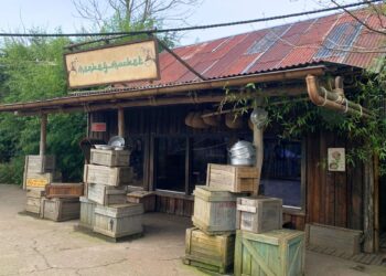 Geen doodshoofdaapjes meer in Wildlands: twee diersoorten in verblijf