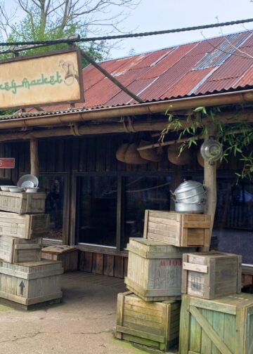 Geen doodshoofdaapjes meer in Wildlands: twee diersoorten in verblijf