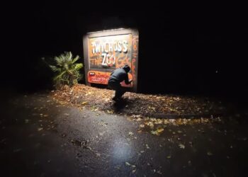 Activisten besmeuren dierentuin met graffiti: ‘We weten wat jullie doen’