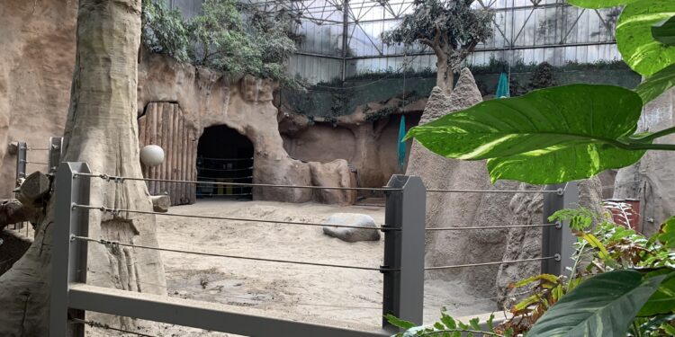Beeld: Zoo Inside e.a.