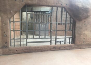 Diergaarde Blijdorp verbouwt binnenverblijf olifanten