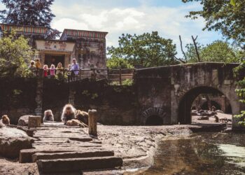 DierenPark Amersfoort vernieuwt themagebied met nieuwe verblijven