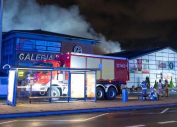 Brand breekt uit bij papegaaiendierentuin: tientallen vogels verbrand