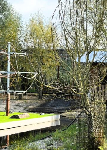 Brabants dierenpark stopt met tientallen diersoorten, maar heeft grootse toekomstplannen