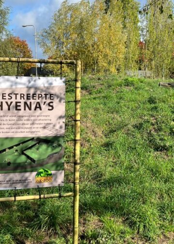 Brabants dierenpark stopt met tientallen diersoorten, maar heeft grootse toekomstplannen