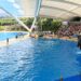 Loro Parque wil nieuwe orka’s en spant rechtszaak aan