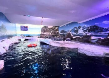 Demonstratie voor Sea Life-vestiging om pinguïns uit kelder te krijgen